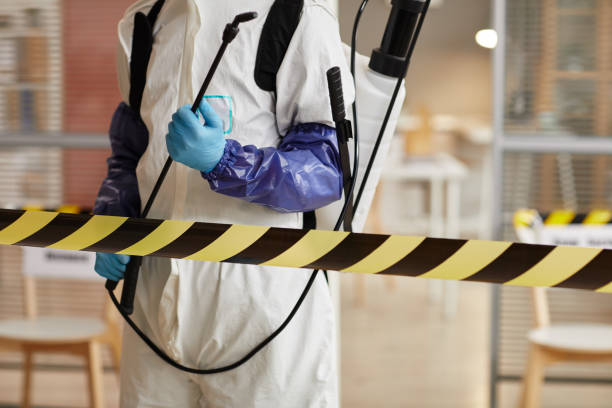 Professional Sewage Cleanup technician working in Pembroke, MA